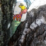 phoca_thumb_m_ke kaplice 11 Fotogalerie